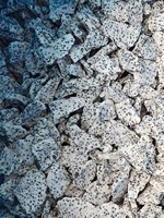 Gll 1Kg Wit Draak Gevriesdroogd Fruit Gevriesdroogd Fruit Gevriesdroogd Wit Dragon Fruit