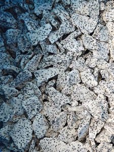 GLL 1kg drago bianco liofilizzato frutta liofilizzata frutta liofilizzata frutta drago bianco - Product Image 4
