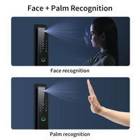 Serrure intelligente Glomarket à reconnaissance faciale et palmaire 3D Ttlock avec alarme anti-effraction et interphone visuel pour la sécurité domestique