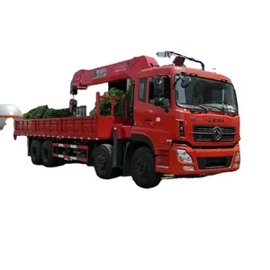 China Hersteller 25 Tonnen Mobil-LKW-Kran Hydraulik armkran für LKW