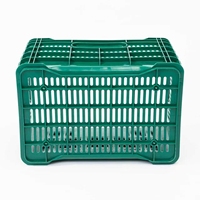 Caisse en plastique à mailles de haute qualité, grande capacité, recyclable, empilable, pour le stockage agricole