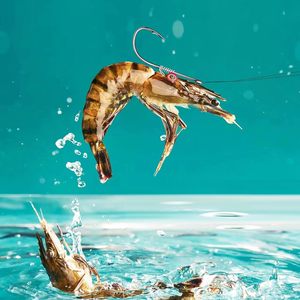 Hameçons fixes en acier au carbone pour crevettes vivantes, avec trous 2 3 4, pour la pêche au bar en eau douce - Product Image 4