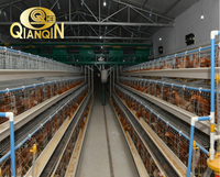 Usine de poulaillers QIANQIN, cages à volailles pour 120 à 160 poules pondeuses au Kenya, au Nigéria et au Zimbabwe