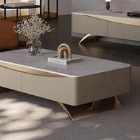Table basse et meuble TV combinés en pierre et bois, style moderne et luxueux, pour petit salon ou appartement – Mobilier haut de gamme