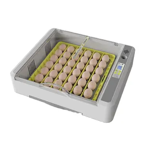 WONEGG 2023 New Design 36 Domestic Incubator Intelligent Touch Screen Auto Egg Turning With Roller Egg Tray For Sale