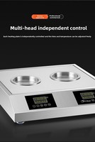 Four à vapeur instantané avec remplissage automatique d'eau, protection anti-brûlure à sec, double usage pour la cuisson de pains vapeur et la préparation de plats en restauration rapide