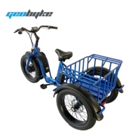 Triciclo eléctrico de tres ruedas de bicicleta eléctrica triciclo eléctrico neumático gordo