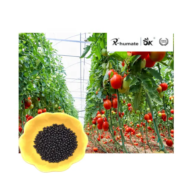 X-humate Leonardite estratto di acido umico granulo/polvere fertilizzante organico ammendante agricoltura