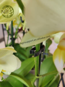 NIF sıcak satış yüksek kalite çok fonksiyonlu amaçlı benzersiz renkli orkide klipleri - Product Image 5