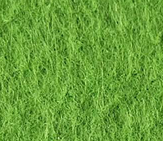 Apple Green