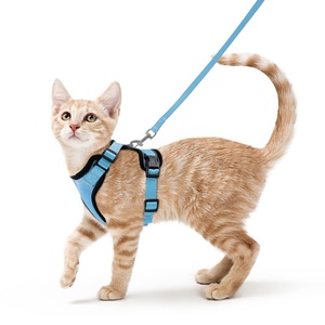 Harnais de type gilet pour animaux de compagnie en maille respirante pour chiens et chats, laisse de traction pour animaux, collier pour chat, harnais de poitrine et de dos pour animaux - Product Image 1