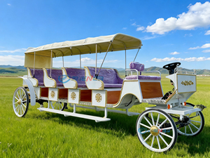 Chariot électrique personnalisé pour visites touristiques, type calèche, avec auvent pour parcs et attractions, nouveau style, sièges violets - Product Image 3