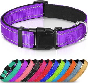 Venta al por mayor <span class=keywords><strong>Collar</strong></span> de perro reflectante de nylon <span class=keywords><strong>Collar</strong></span> de mascota ajustable colorido para perros gigantes medianos y grandes - Product Image 5