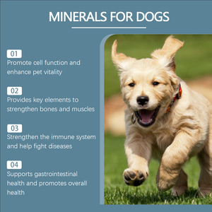 Comprimés à mâcher multivitaminés <span class=keywords><strong>et</strong></span> minéraux pour chiens, calcium, magnésium, oligo-éléments, nutrition - Product Image 5