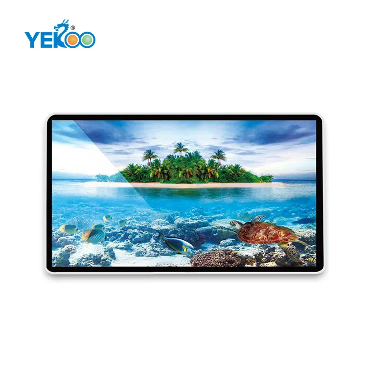 43 Inch Indoor Wall Mounted Video Player Industrial Digital Signage LCD Display Screen