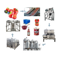 Op maat gemaakte tomatenverwerkingsmachines, industriële lijnen voor het inblikken, sap, puree en drankenproductie van tomaten