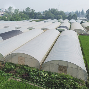 Chi Phí Thấp Thương Mại Sản Xuất Nhà Kính Kit Vòm Bộ Phim Nhựa Duy Nhất Khoảng Đường Hầm Nhà Kính Cho Cà Chua - Product Image 3