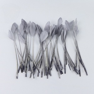 Plumas <span class=keywords><strong>de</strong></span> pájaro teñidas al por mayor para decoración <span class=keywords><strong>de</strong></span> sombreros y sombreros <span class=keywords><strong>de</strong></span> suministros <span class=keywords><strong>de</strong></span> arte y artesanía - Product Image 3