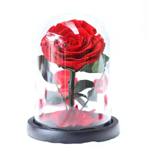 Toutes les tailles de boîte-cadeau de la Saint-Valentin vase dôme en verre rose éternelle préservée fleur coeur design pour toujours bleu rouge avec lumière LED