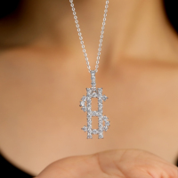 Collier de mode personnalisé Moissanite 925 Silver Hip Hop Dollar Sign Pendant Charm Necklace