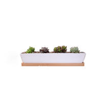 Pots à plantes succulentes en ciment rectangulaires carrés, petits pots de fleurs pour cactus avec plateau pour plantes vertes
