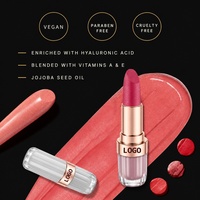 Rouge à lèvres crémeux satiné nacré végétalien hydratant repulpant effet miroir longue tenue, gloss à lèvres personnalisé avec logo OEM ODM