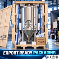 Cuve de Fermentation de Bière Tonsen 100L avec Contrôle PLC 220V 400V Certifiée CE – Équipement de Brassage Personnalisable