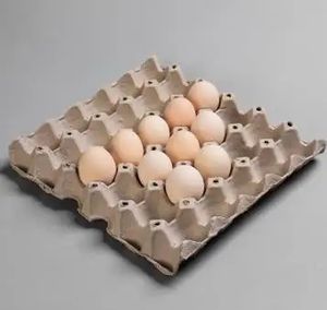 Papel de desecho caja de cartón antiguo reciclaje <span class=keywords><strong>8</strong></span> lados bandeja de huevos desechable automática que hace la máquina de moldeo de pulpa de papel con secador de metal - Product Image 6
