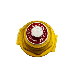 Regulador de construcción de presión de gas, accesorios de soldadura de DYS-06F para campo industrial, 2 unidades - Product Image 4