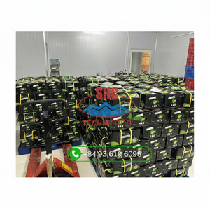 มะนาวไร้เมล็ดจากเวียดนามที่มีอายุการเก็บรักษายาวนานปลูกตามธรรมชาติสำหรับการส่งออกเหมาะสำหรับการทำอาหารเครื่องดื่มและการบริการอาหาร - Product Image 1