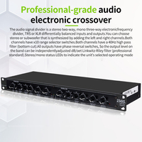 Processeur audio numérique professionnel RAYHAYES R-234, mixeur audio, égaliseur, processeur de signal audio numérique, gain