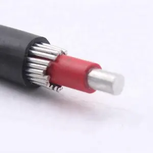 Konduktor padat tunggal 2*6mm2 kabel konsentris kawat tembaga insulasi PVC untuk pasar Chili/France