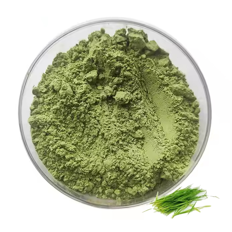 Factory Supply Organic Barley Grass Juice
