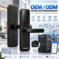 Fabricant de serrures intelligentes Tediton OEM ODM certifié CE FCC avec personnalisation du logo pour les marques de distributeurs