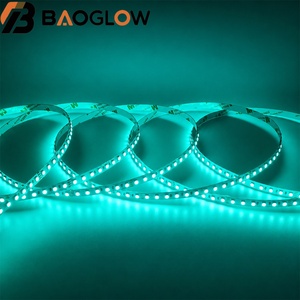 Ruban LED Moderne 120 LED/M RGB Sans Chute de Tension 3535, 24V 15W/M, Plaque Électroplaquée 8mm, Coupe 5cm, Éclairage d'Escalier Coloré - Product Image 1