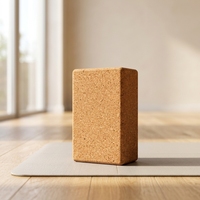 Syntus Kork Yoga Block & Gurt Set 2-teilig Hochdichte Weiche Rutschfeste Yoga-Blöcke 9x6x4 Zoll 8FT Metall D-Ring Gurt für Pilates