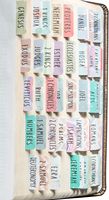 Bible laminée personnalisée onglets de journalisation biblique personnalisés, 66 onglets de livre et 18 onglets vierges