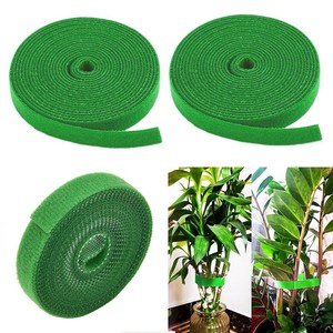 Sangle de <span class=keywords><strong>fixation</strong></span> multifonctionnelle pour plantes grimpantes, en forme de tige de palmier de coco, pour soutien aromatique des Epipremnum et <span class=keywords><strong>fixation</strong></span> de plantes en forme de vigne. - Product Image 1