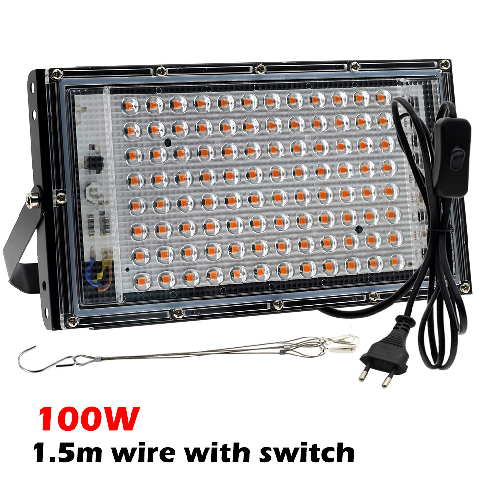 100W with plug hanging rope only