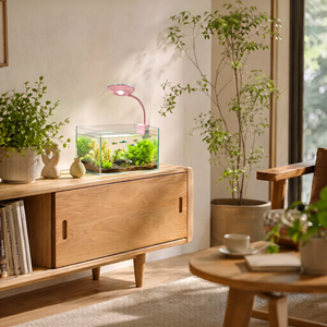 <span class=keywords><strong>Lampe</strong></span> LED UFO 5W en gros pour <span class=keywords><strong>aquarium</strong></span>, RGBW, spectre complet, intensité réglable, à <span class=keywords><strong>pince</strong></span>, pour la croissance des plantes d'eau douce - Product Image 5
