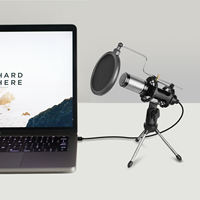 Microphone à condensateur USB professionnel Biner E300 pour ordinateur de bureau, pour l'enregistrement, la diffusion en direct, le jeu