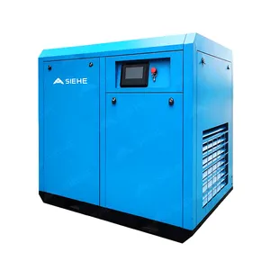 Filtre à air de compresseur d'air à vis rotatif sans huile personnalisé 7.5KW 15KW 22KW 35KW 50L SIEHE