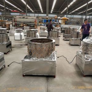 Nouvelle machine à épiler les volailles, petite et entièrement automatique, en acier inoxydable, pour épiler les oies, les pigeons, les poulets et les canards - Product Image 5