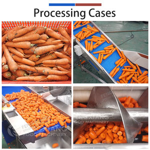 Ligne de lavage, de pelage et de découpe de carottes FENGXIANG, machines de transformation des légumes automatiques pour usage industriel - Product Image 4