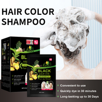 Champú Tinte para el Cabello PLOG, Sobres de 20ml, 4 en 1, Coloración Instantánea, Sin Amoníaco, Cubre Canas, OEM, Marca Privada, Venta al Por Mayor