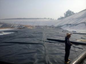 จีโอเมมเบรนสีน้ำเงิน1.2มม. สำหรับ<span class=keywords><strong>บ่อ</strong></span>น้ำสำหรับ<span class=keywords><strong>ล้าง</strong></span>แร่ทองแผ่นกรองแร่และการแยกสารปนเปื้อนจากหลุมฝังกลบ - Product Image 4