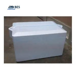 BES tự động EPS bọt container làm máy móc cá rau hộp máu Ống nghiệm TV gói dây chuyền sản xuất