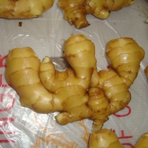 Chất Lượng Hàng Đầu Kích Thước Lớn <span class=keywords><strong>Laiwu</strong></span> Gừng Tươi Giá Bán Buôn - Product Image 2