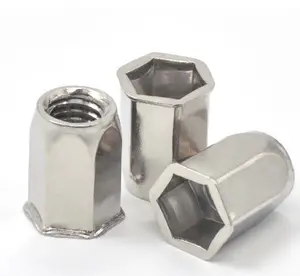 Porca de rebite cega de aço carbono com porca de rebite hexagonal completa pequena banhada a zinco M3 M5 M12