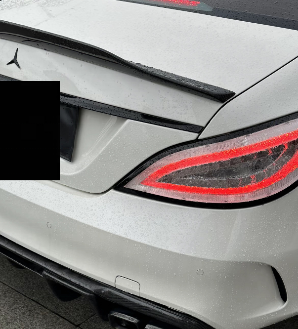 cls w218 tail light